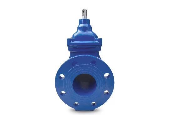 Zasuwa kołnierzowa DN80 FIG 002_S