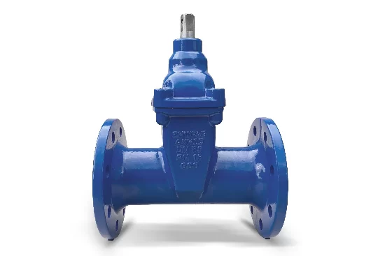 Zasuwa kołnierzowa DN80 FIG 002_F