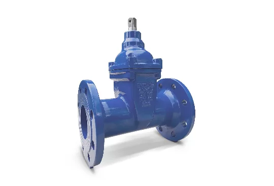 Zasuwa kołnierzowa DN80 FIG 002_P