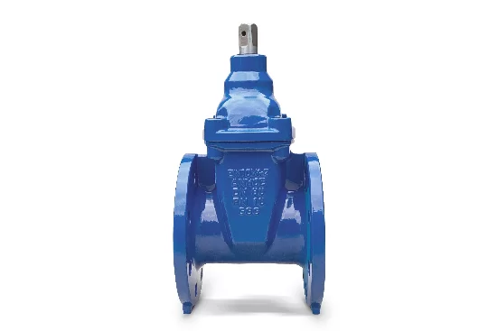 Zasuwa kołnierzowa DN80 fig 111_F